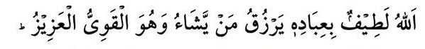 Allah is Gentle on His servants. He provides sustenance for whomsoever He wills, and He is the Omnipotent, the All Mighty.